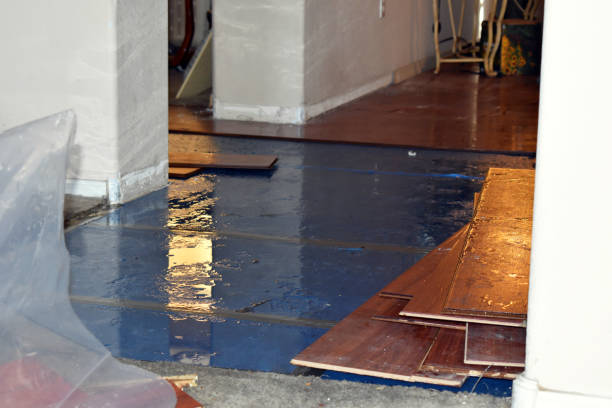 Professional Water Damage Restoration technician working in Brook Park, MN